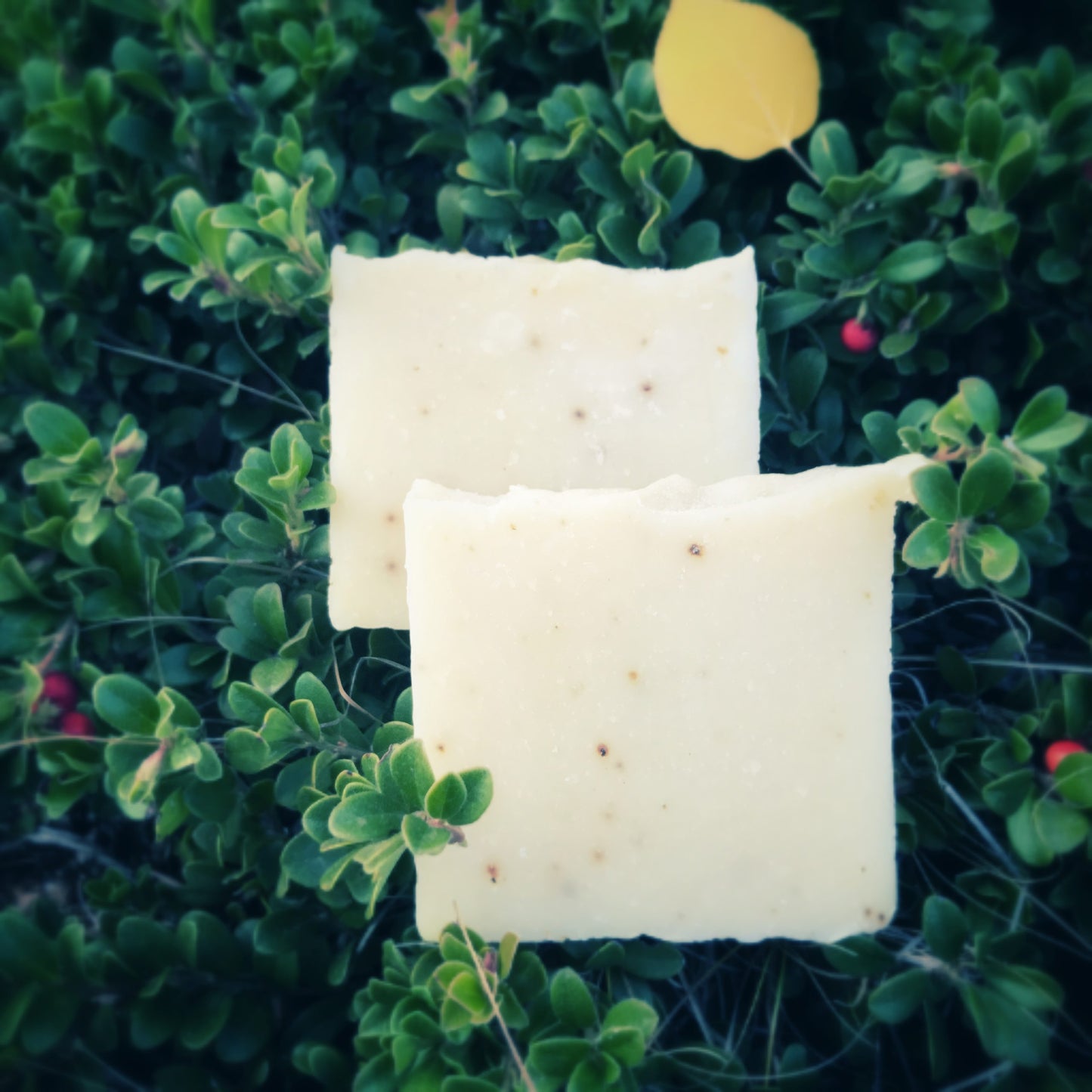 Clove Soap