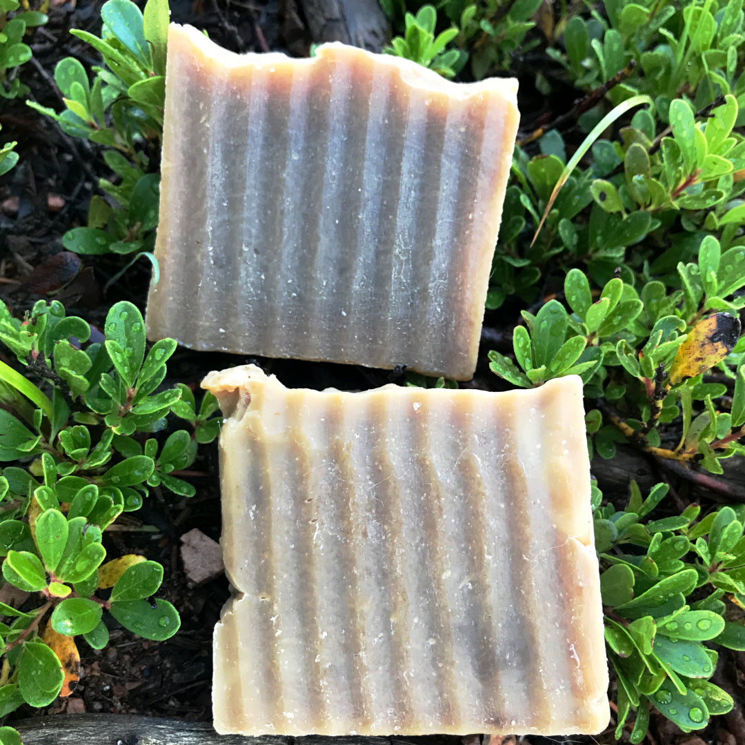 Pine Tar All Natural Soap - Sowing Seeds Hemp Farm